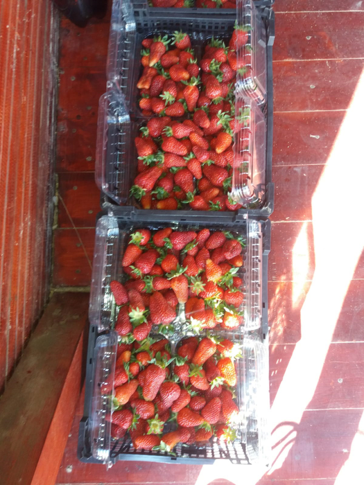 Fructele românești se "bat" cu variantele mult mai ieftine din import
