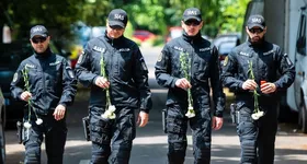 Galerie foto - poza 2