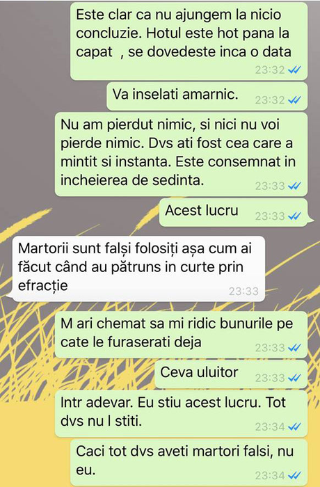SMS-urile otrăvite dintre Adina Banea și Carmen Păștin