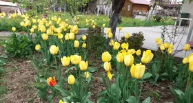 Galerie foto - poza 3