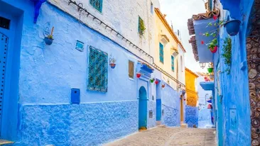 Iluzie optică virală | Găsiți pisica ascunsă pe această stradă din Grecia!