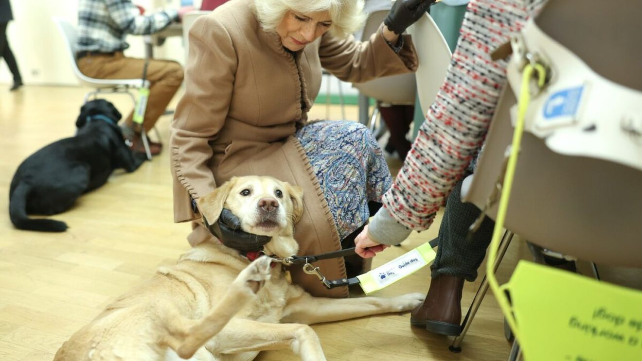 Regina Camilla, super gest după moartea câinelui său. Cum a decis să își aline suferința