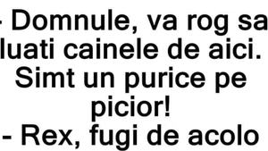 BANC | "Vă rog să vă luaţi câinele de aici! Simt un..."