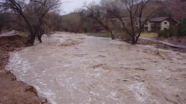 Judeţul Bacău este grav afectat de inundaţii! Ce anunţ au făcut autorităţile