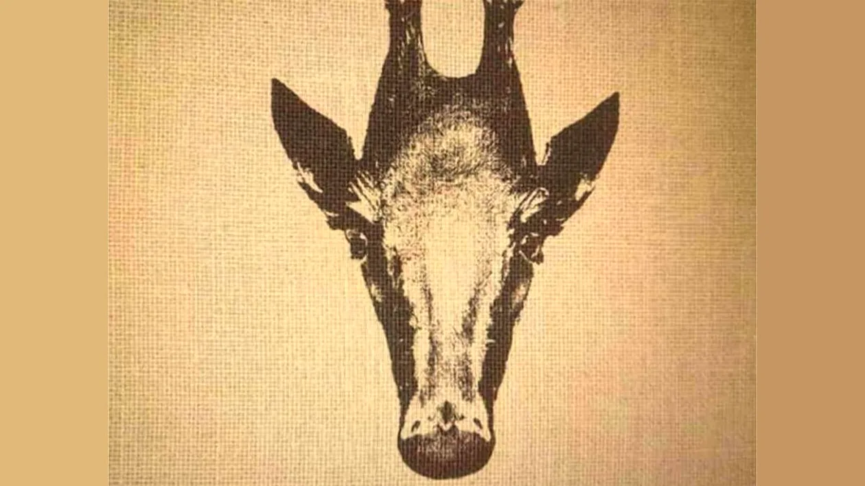 Iluzie optică virală exclusivă pentru genii | Găsiți pinguinul în cel mult 5 secunde!