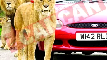 Sechestrati de zece lei