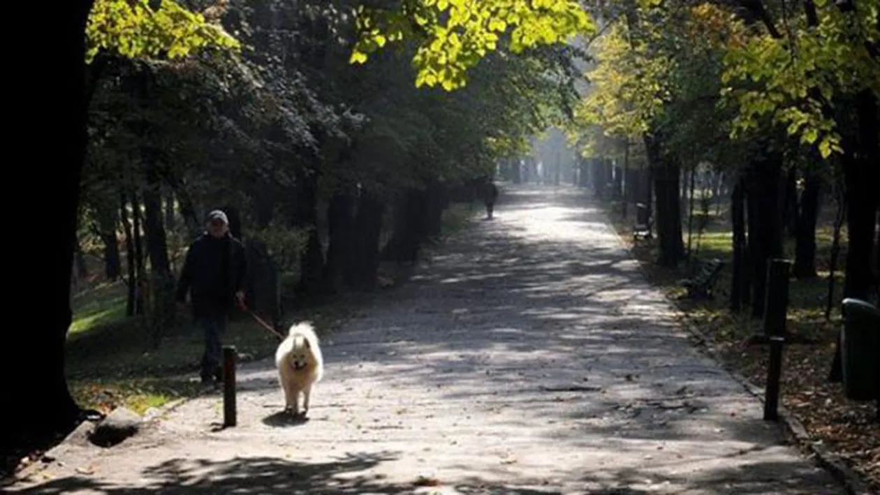 METEO 13 NOIEMBRIE! Cum va fi vremea in Bucuresti si in alte zone din tara!