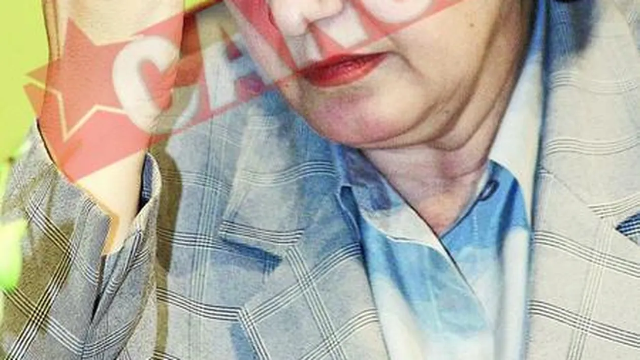 Mona Musca risca doi ani de puscarie