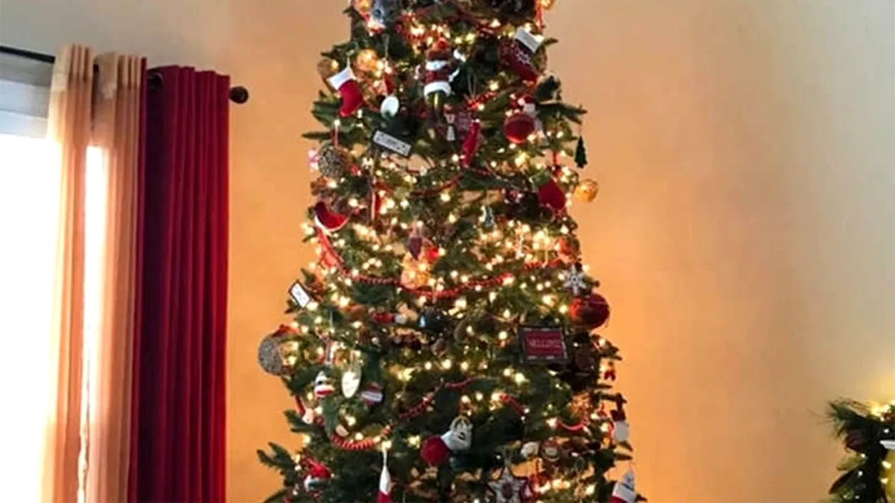 Iluzie optică de Ajun | Găsiți pisica ascunsă în bradul de Crăciun din imagine