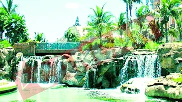 Decor de vis pentru frumusetile lumii