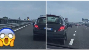 Aparitie socanta pe autostrada! Toti soferii au scos telefoanele ca sa filmeze. Ce mergea pe langa parapeti VIDEO