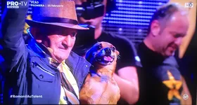 Galerie foto - poza 4