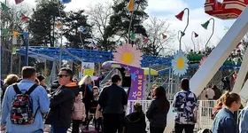 Galerie foto - poza 3