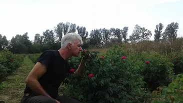 Au făcut afacere cu trandafiri, după reţeta bunicii. Povestea de succes a unui fost poliţist din Piatra Olt şi a soţiei sale