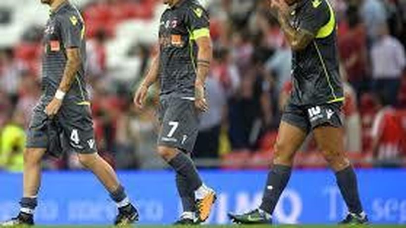 Câinii termină turul în genunchi