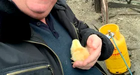 Galerie foto - poza 3