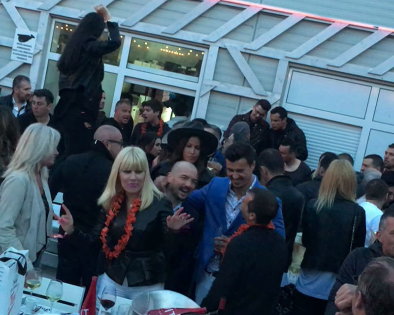 Elena Udrea, prinsă de ritmul muzicii