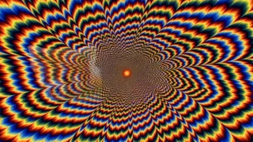 Iluzie optică virală | Numai geniile văd ce animal se ascunde în această imagine, în 5 secunde