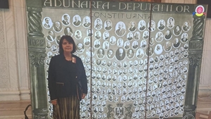 Ce avere uriașă avea Simona Maya Teodoroiu, deputata PSD care s-a stins din viață la 55 de ani