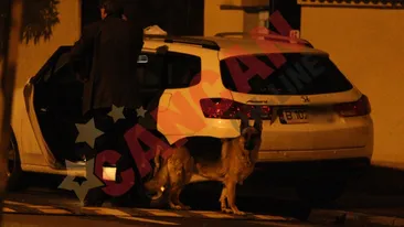 Doar cainele il mai scoate pe Dinu din casa!