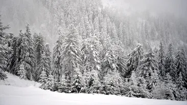 Informația care dă peste cap ancheta în cazul lui George, tânărul dispărut în Munții Bucegi. Salvamontiștii din Brașov au făcut totul public!