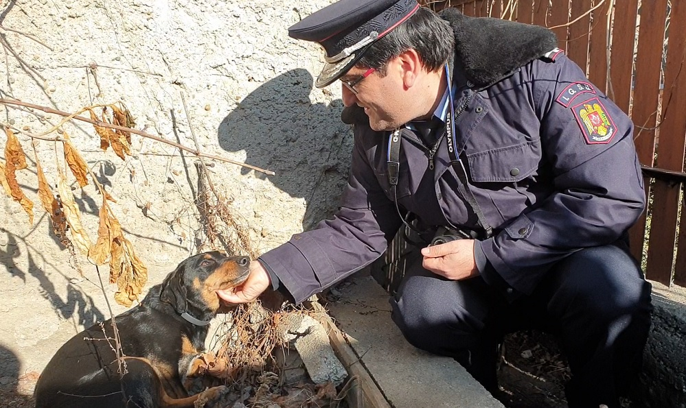 Chira a stârnit admirația pompierilor