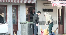 Galerie foto - poza 4