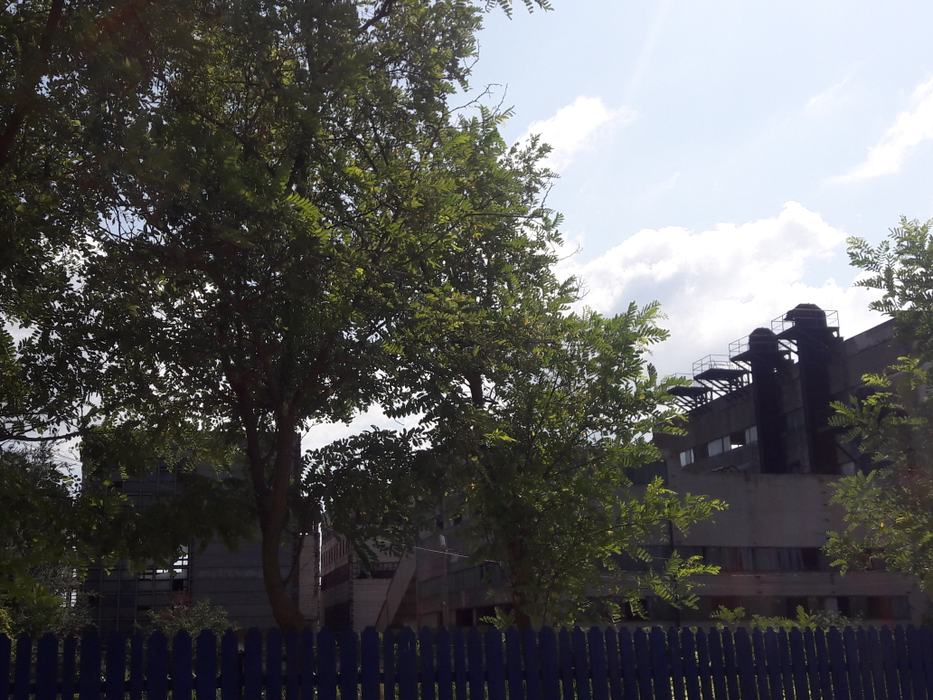 La Vadu nu a rămas mai nimic din industria de vârf a lui Ceaușescu