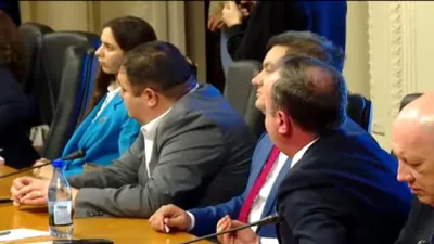 Scandal la audierea ministrului de Externe, Oana Țoiu. Derapaj xenofob în ședința comisiei parlamentare: „Vă pasă de români?”