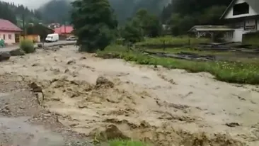 Bărbatul din Vâlcea dat dispărut odată cu fetița decedată a fost găsit în viață!