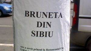 Dragostea nu are limite! Gestul inedit făcut de un tânăr din Sibiu! A umplut orașul cu afișe
