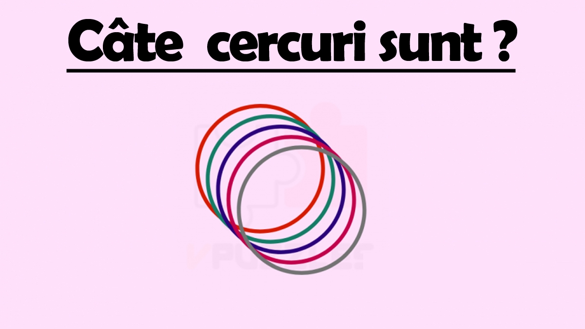 Test de inteligență | Câte cercuri sunt, de fapt, în această imagine?