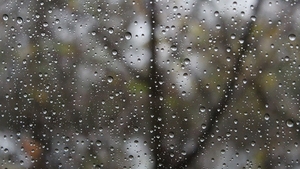 METEO 15 MAI! Ploi, descărcări electrice şi temperaturi minime de până la 4 grade