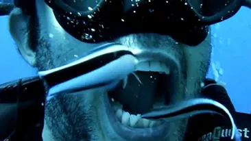 Video nebunesc! Un scafandru se spala pe dinti cu ajutorul a doi pesti - Vezi cum ii lasa sa-i curete dantura sub apa