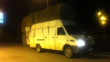 Credeai ca le-ai vazut pe toate? Un roman face asta! Ce a putut sa care un sofer pe drumurile publice intrece orice imaginatie