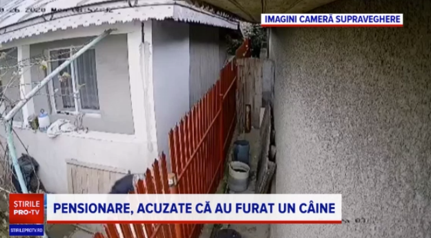 doua pensionare au rapit un catel