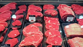 UE interzice importul de carne din Brazilia. Ce nereguli au fost descoperite de Comisia Europeană