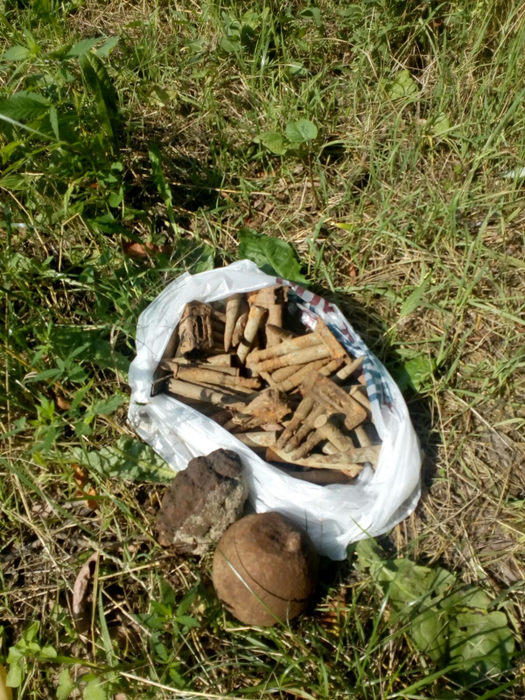 Un ”căutător de comori” din Vrancea a găsit două grenade defensive și 80 de cartușe