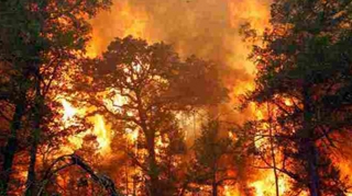 Cel putin patru morti si peste 700 de case distruse in incendiile din Texas