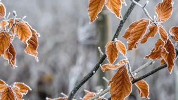 Prognoza meteo pentru joi, 18 decembrie 2025. Frigul pune stăpânire pe România