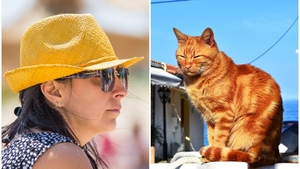 Ce a pățit o româncă în vacanța din Grecia, unde a mers cu motanul ei. Mulți au criticat-o pentru gestul necugetat: „Eu nu aș fi plecat”