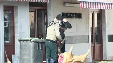 Cum s-a tăiat porcul la barul Buggy, de lângă casa lui Gigi Becali. Localul a fost făcut celebru de către verii Becali