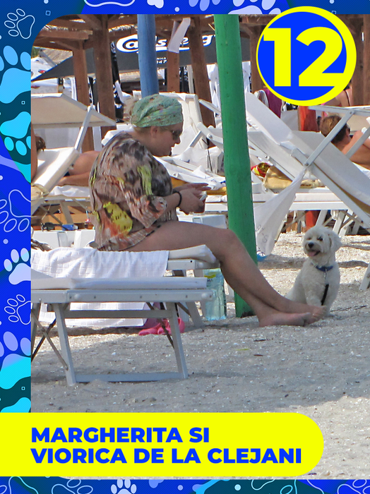 Top 25 vedete care și-au etalat costumele de baie, dar cățeii lor au făcut senzaţie! Delia, Bianca Drăgușanu sau Lora, eclipsate de patrupezi la malul mării