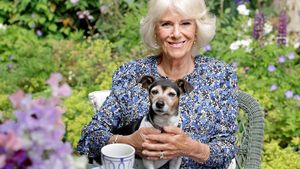 Camilla Parker Bowles, noua regină consoartă a Marii Britanii. Ce atribuții va avea soția Regelui Charles al III-lea