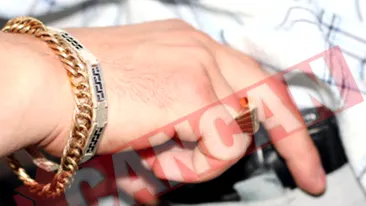 Au invatat limbi straine, ca sa fure mai bine