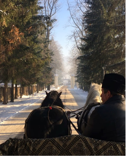 VIDEO / Vacanţă de vis pentru Mirela Vaida! S-a filmat în trăsură şi… Aşa se destinde înaintea noii emisiuni