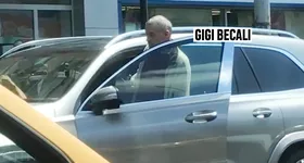 Galerie foto - poza 1