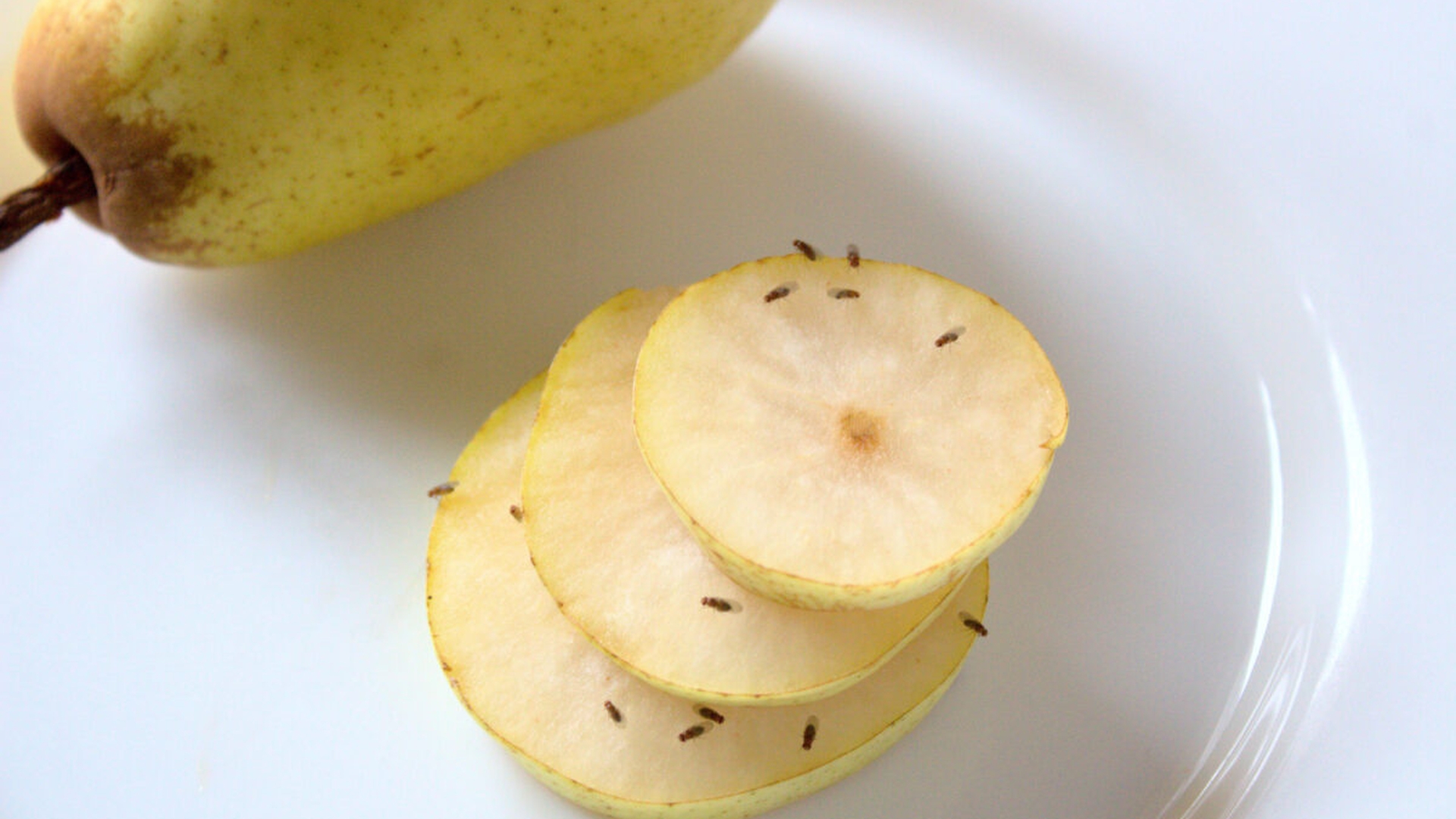 Cum scapi rapid de musculițele care apar la fructele din casă. Trucurile recomandate de experți