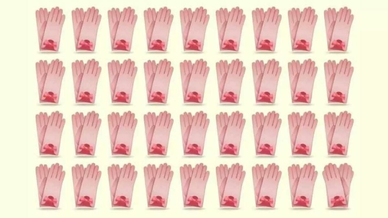 Test IQ | Numai cei cu ochi de vultur văd perechea diferită de mănuși, în doar 5 secunde!