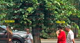 Galerie foto - poza 4